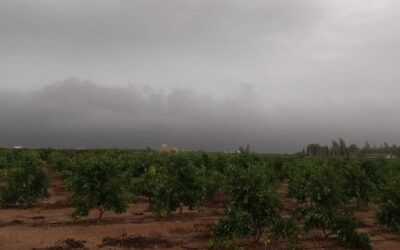 Comunicado de Instalaciones Eléctricas Paco García