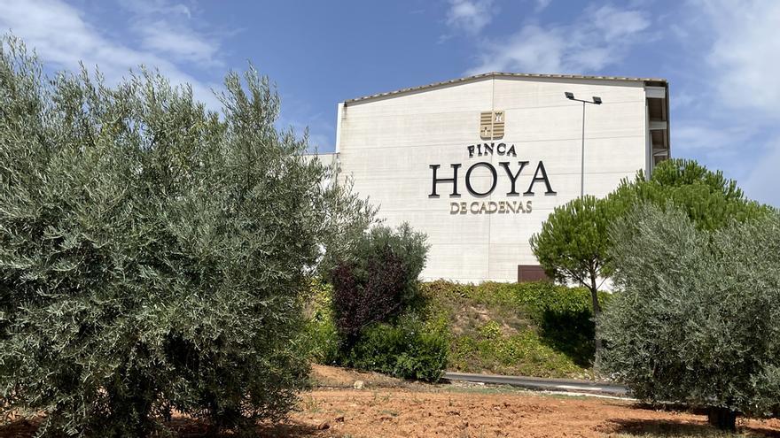 instalaciones-electricas-requena-utiel-paco-garcia-denominacion-origen-bodegas-hoya-decadenas