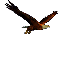 proteccion-avifauna-instalaciones-electricas-paco-garcia-valencia-01