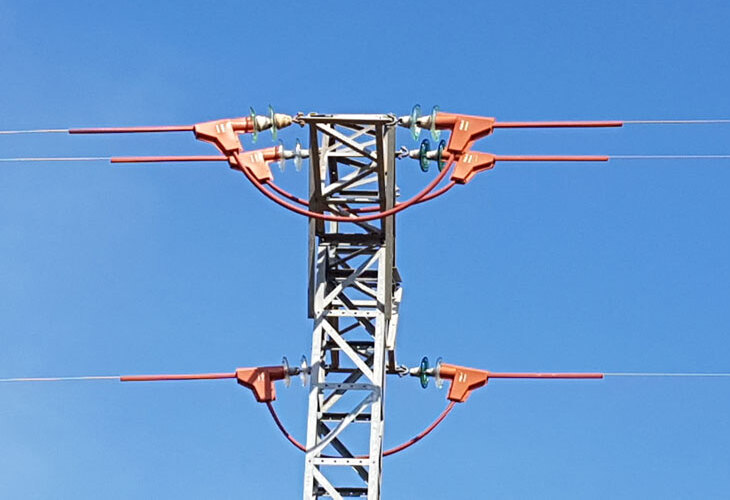 proteccion-avifauna-instalaciones-electricas-paco-garcia-valencia-06