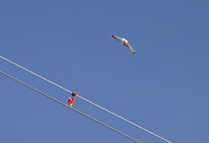 proteccion-avifauna-instalaciones-electricas-paco-garcia-valencia-07
