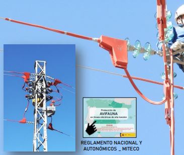 proteccion-avifauna-tendidos-electricos-instalaciones-electricas-paco-garcia-00
